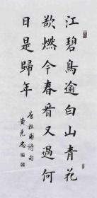 【带合影】当代实力书法家 黄老师《杜甫诗》SF2428