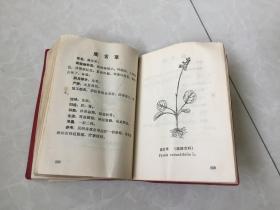 中草药验方汇编