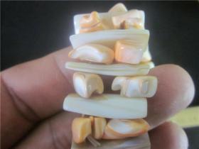 贝壳手链2条合售。