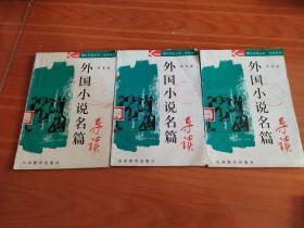 课外天地丛书.文学系列 外国小说名篇 导读 上、中、下册合售