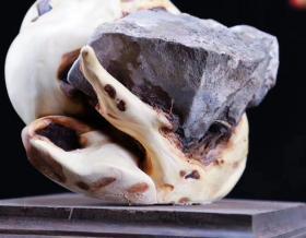 精品崖柏弥勒佛,太行崖柏双色坨坨料,天然夹石,材质干净,油性爆满,推荐收藏长14宽14高17重3斤