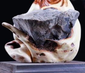 精品崖柏弥勒佛,太行崖柏双色坨坨料,天然夹石,材质干净,油性爆满,推荐收藏长14宽14高17重3斤