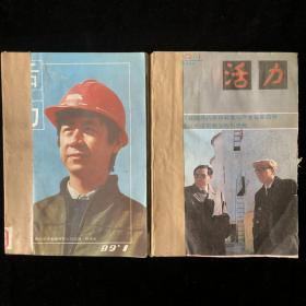 黑龙江人民政府主办《活力》月刊合订本1989年1990年共计23期合售（内容涉及：经济纵横、工作研究、改革、观察与思考、税收、龙江、宋广英、美国经济、温州、石油、383工程等）