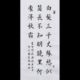 【带合影】当代实力书法家 黄老师《秋浦歌其十五》SF2451