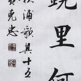 【带合影】当代实力书法家 黄老师《秋浦歌其十五》SF2451