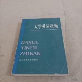 大学英语指南