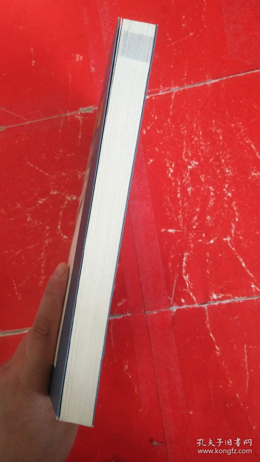 成功的商业计划：诀窍与战略