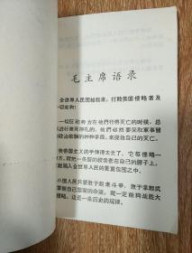 印度支那人民打的好