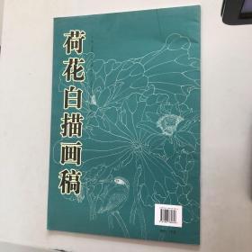 荷花白描画稿/美术教学示范作品