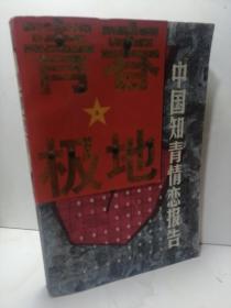 中国知青情恋报告(叁)