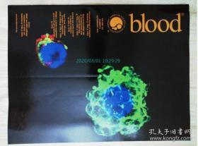 blood JOURNAL OF THE AMERICAN SOCIETY OF HEMATOLOGY 2015/02/19 VOL.125 NO.8 1199-1356 美国血液学学会杂志