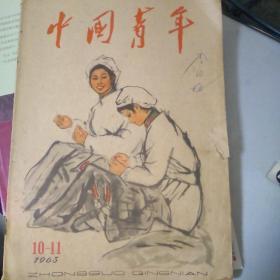中国青年杂志1963年11/12合集一本书