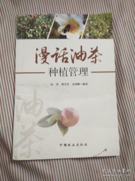 漫话油茶种植管理