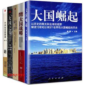 中国经济历史研究（5册） 大国崛起唐晋人民出版社大国战略金一南 历史的温度张玮大国之基：中国乡村振兴诸问题中国历史的教训