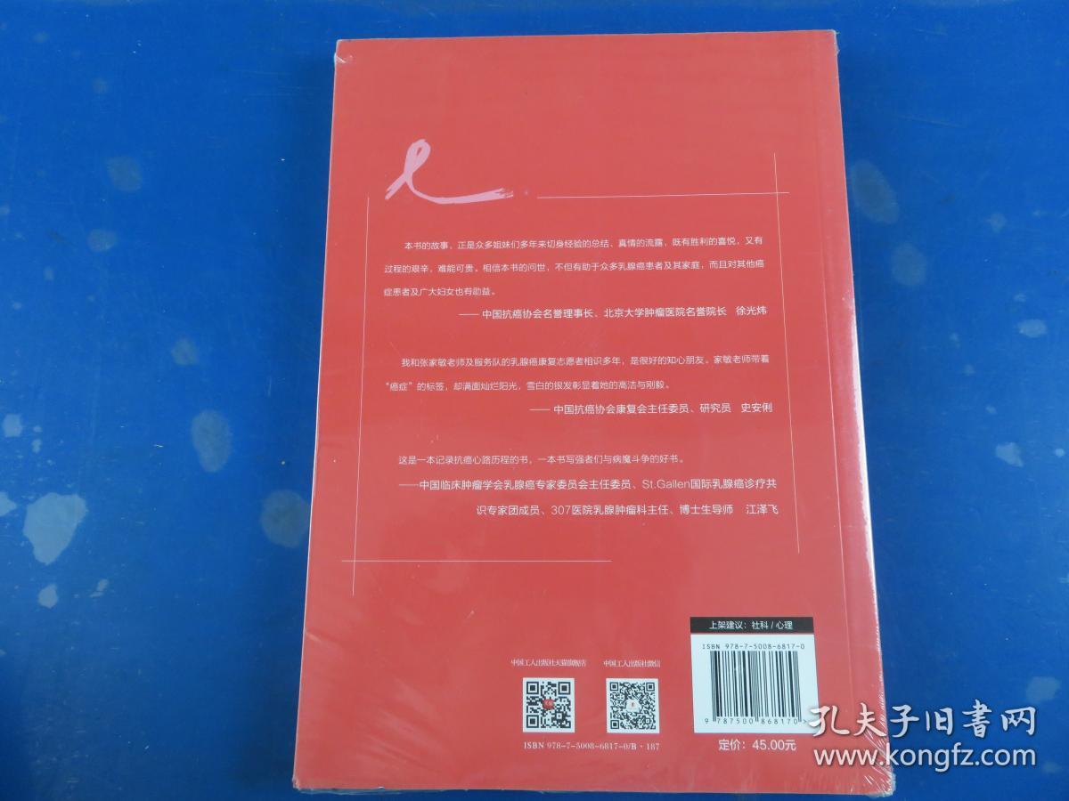 粉红相伴 : 乳腺癌康复日志