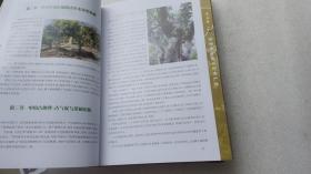 中国普洱茶百科全书：企业卷、文化卷、产业卷（全套3册）