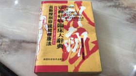 吕教授刮痧健康300种祛病临床大辞典
