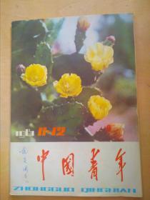 中国青年1981-11/12