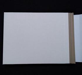 黎明前[上美32开大精][绝版扉页彩色插图本]