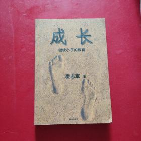 成长：微软小子的教育