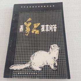 养貂技术问答