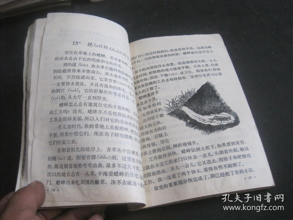 语文 第八册
