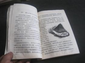 语文 第八册