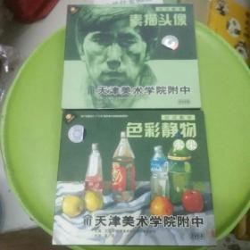 天津美术学院附中素描头像+色彩静物水果，共4vcd