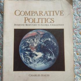 Comparative politics, domestic response to global challenges