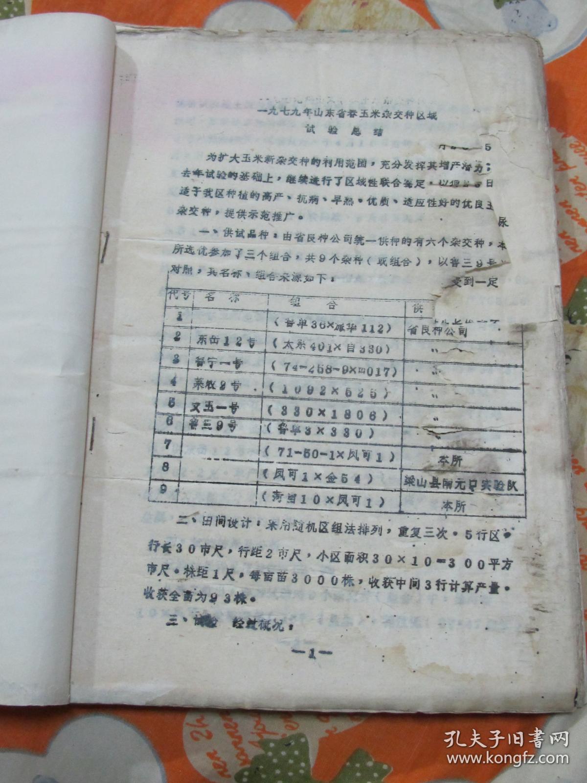 1979年山东省春玉米杂交种区域试验总结