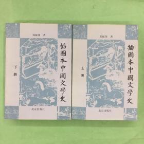 插图本中国文学史（上、下册）99年一版一印