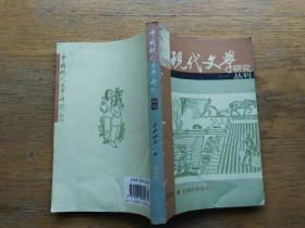 中国现代文学研究丛刊：2005-6