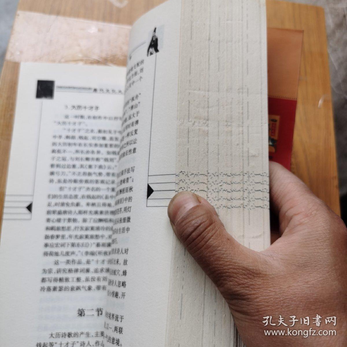 中国现代文化大观