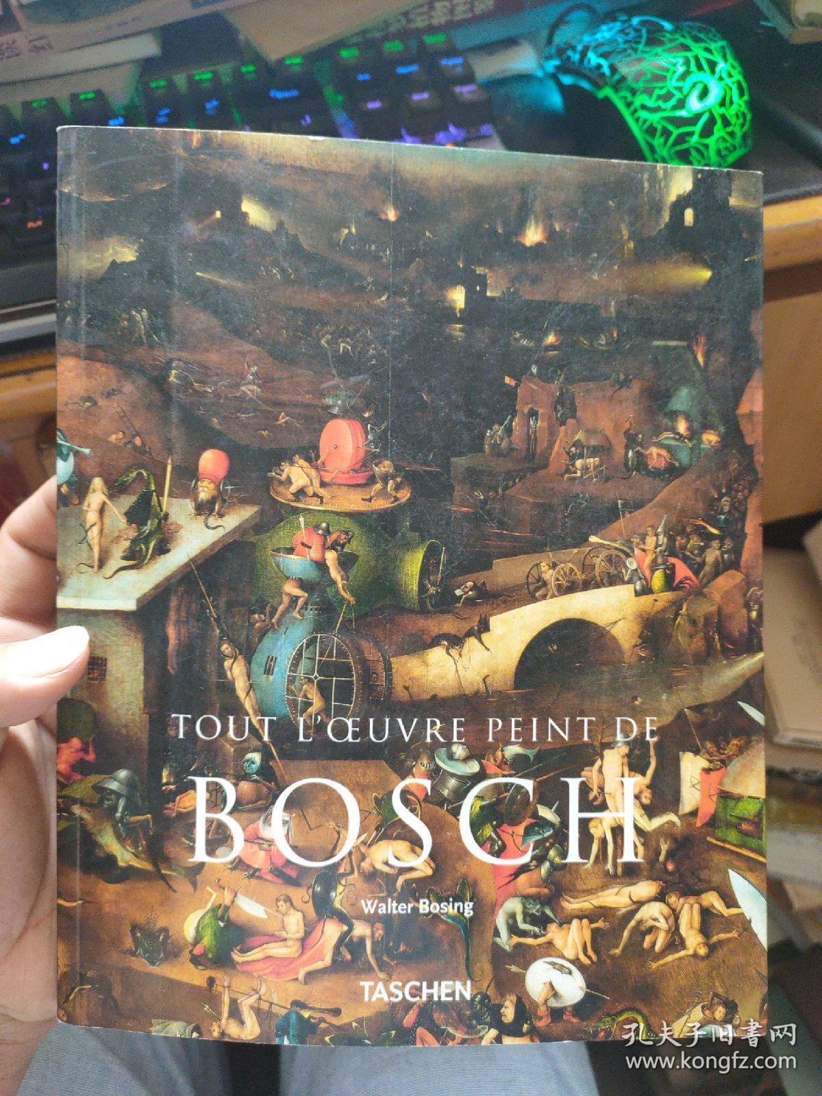 英文原版 TOUT L'OEUVRE PEINT DE BOSCH Walter Bosing