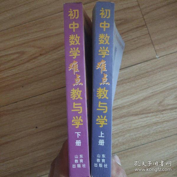 初中数学难点教与学