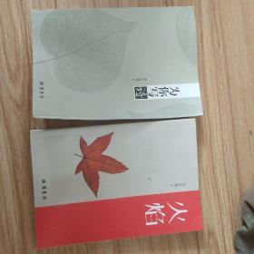 火焰，为你写诗