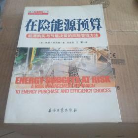 读点石油财经丛书·在险能源预算：能源购买与节能决策的风险管理方法