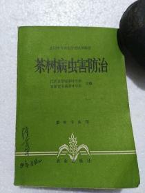 茶树病虫害防治