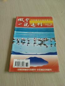 微型小说选刊 2000.19