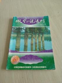 微型小说选刊 2003.6