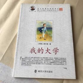 青少年课外阅读中外名著系列 我的大学