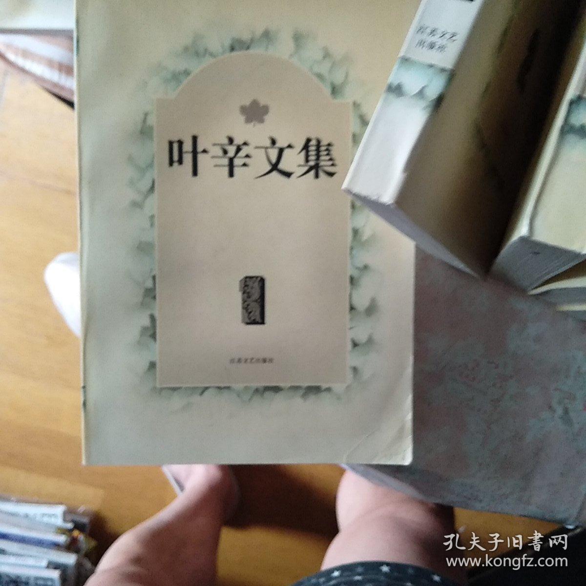 叶辛文集（全十卷）第一至第十卷