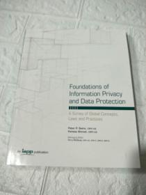 Foundations of lnformation Privacy and Data Protection （平装 16开 详情看图 品看图）