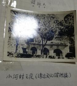 小河村会议旧址，毛主席亲手种植的杏树（照片两张）