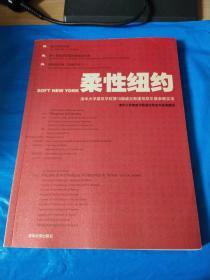 柔性纽约:清华大学建筑学院第10届威尼斯建筑双年展参展实录