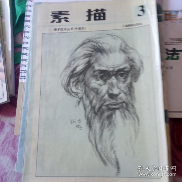 少年儿童美术技法丛书  素描第三册