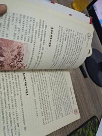 探索天下：自然生命奇观 破译天下之谜