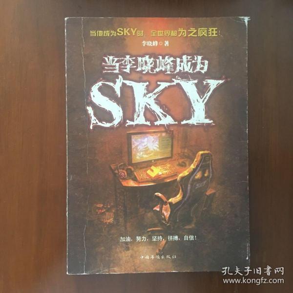 当李晓峰成为SKY