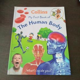 My first book of the human body（英文原版）