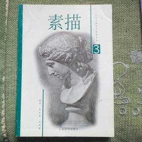 素描 石膏像 1999，全新